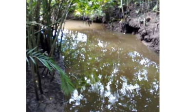 FINCA EN CHEPO CABECERA 78 HECTAREAS POR PUERTO COQUIRA TITULADA