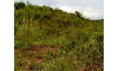 FINCA EN CHEPO CABECERA 78 HECTAREAS POR PUERTO COQUIRA TITULADA