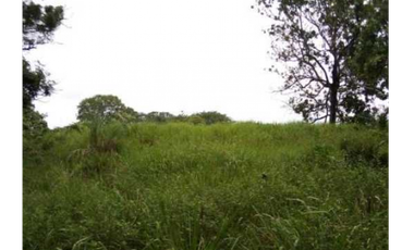 FINCA EN CHEPO CABECERA 78 HECTAREAS POR PUERTO COQUIRA TITULADA