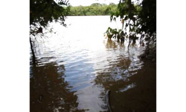 FINCA EN CHEPO CABECERA 78 HECTAREAS POR PUERTO COQUIRA TITULADA