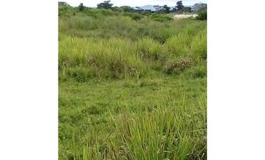 FINCA EN CHEPO CABECERA 78 HECTAREAS POR PUERTO COQUIRA TITULADA