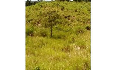 FINCA EN CHEPO CABECERA 78 HECTAREAS POR PUERTO COQUIRA TITULADA