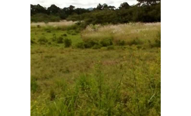 FINCA EN CHEPO CABECERA 78 HECTAREAS POR PUERTO COQUIRA TITULADA