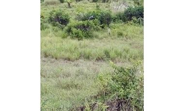 FINCA EN CHEPO CABECERA 78 HECTAREAS POR PUERTO COQUIRA TITULADA