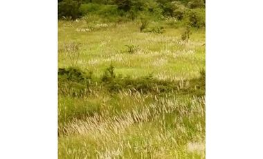 FINCA EN CHEPO CABECERA 78 HECTAREAS POR PUERTO COQUIRA TITULADA