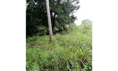 FINCA EN CHEPO CABECERA 78 HECTAREAS POR PUERTO COQUIRA TITULADA