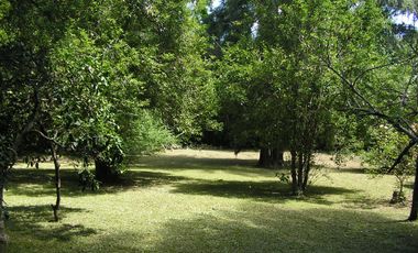 Casa venta Delta Tigre