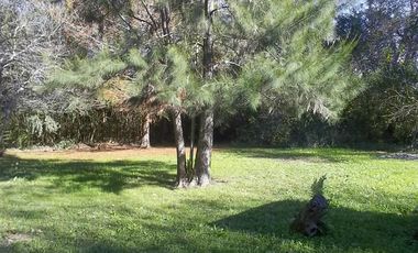 Casa venta Delta Tigre