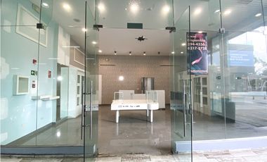 Se Alquila Local en la Mejor Zona de Avenida Balboa!!