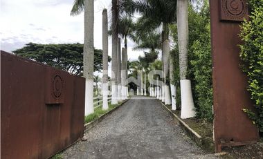 SE VENDE LOTE CAMPESTRE EN COFEE RESORT VIA CARTAGO - ALCALA