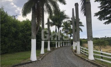 SE VENDE LOTE CAMPESTRE EN COFEE RESORT VIA CARTAGO - ALCALA
