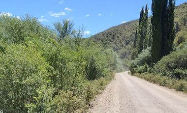 Campo 20.91 ha. borde río Bio Bio,  en Lonquimay