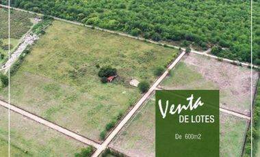 Terreno venta - 12 x 50 mts -600 mts 2 - Arturo Segui