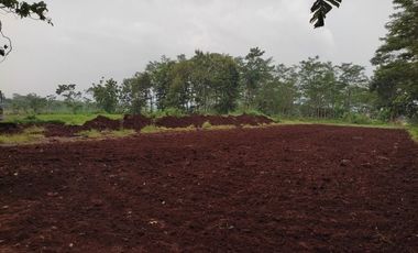 Tanah Kapling Dekat UIN Pekalongan