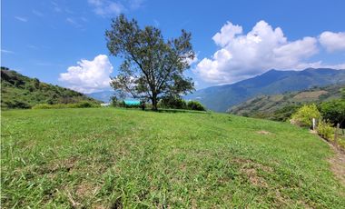 Lote en Venecia (suroeste antioqueño)