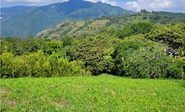 Lote en Venecia (suroeste antioqueño)