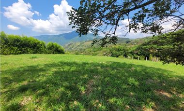 Lote en Venecia (suroeste antioqueño)