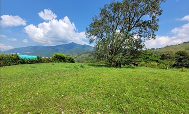 Lote en Venecia (suroeste antioqueño)