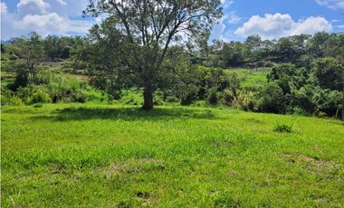Lote en Venecia (suroeste antioqueño)