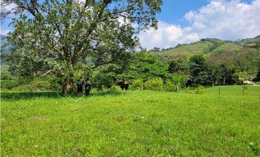 Lote en Venecia (suroeste antioqueño)