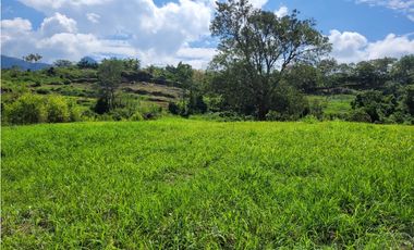 Lote en Venecia (suroeste antioqueño)