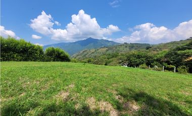 Lote en Venecia (suroeste antioqueño)