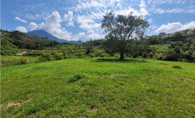 Lote en Venecia (suroeste antioqueño)