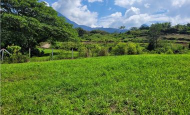 Lote en Venecia (suroeste antioqueño)