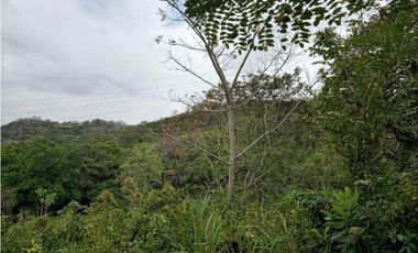 Se Vende Finca de 1.5 has en Lídice, Capira