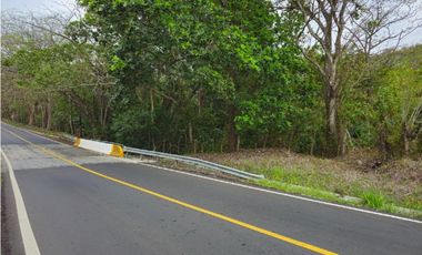 Se Vende Finca de 1.5 has en Lídice, Capira
