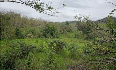 Se Vende Finca de 1.5 has en Lídice, Capira