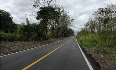 Se Vende Finca de 1.5 has en Lídice, Capira