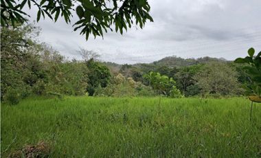 Se Vende Finca de 1.5 has en Lídice, Capira