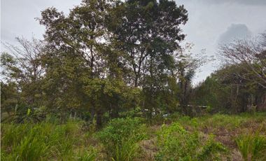 Se Vende Finca de 1.5 has en Lídice, Capira