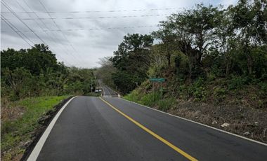 Se Vende Finca de 1.5 has en Lídice, Capira