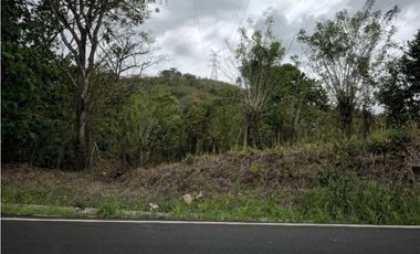 Se Vende Finca de 1.5 has en Lídice, Capira