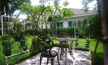 Urgent sale chiang mai