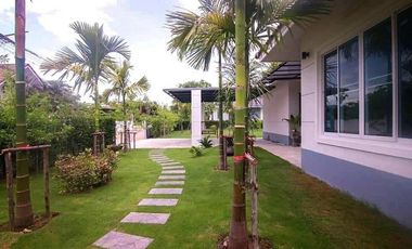 Urgent sale chiang mai