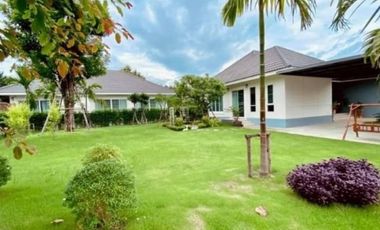 Urgent sale chiang mai