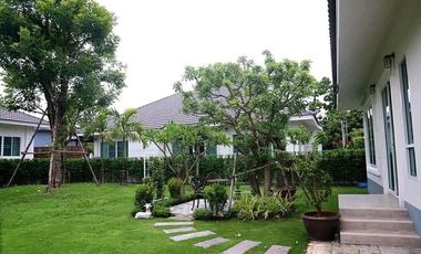 Urgent sale chiang mai