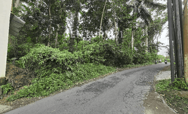 Tanah Luas Dan Strategis  Dengan View Indah Di Ubud Bali