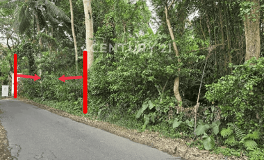 Tanah Luas Dan Strategis  Dengan View Indah Di Ubud Bali