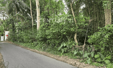 Tanah Luas Dan Strategis  Dengan View Indah Di Ubud Bali