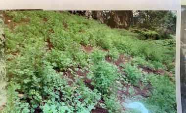 finca en venta en dapa. Cod V11668