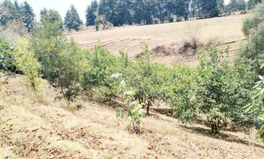 Rancho  en Ahuatenco Ocuilan - CRB-1084-Ra#