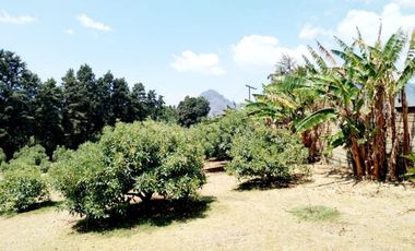 Rancho  en Ahuatenco Ocuilan - CRB-1084-Ra#
