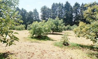 Rancho  en Ahuatenco Ocuilan - CRB-1084-Ra#
