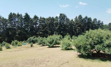 Rancho  en Ahuatenco Ocuilan - CRB-1084-Ra#