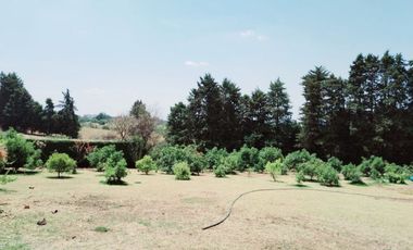 Rancho  en Ahuatenco Ocuilan - CRB-1084-Ra#