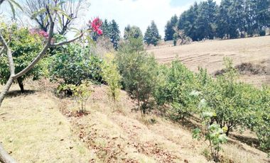 Rancho  en Ahuatenco Ocuilan - CRB-1084-Ra#